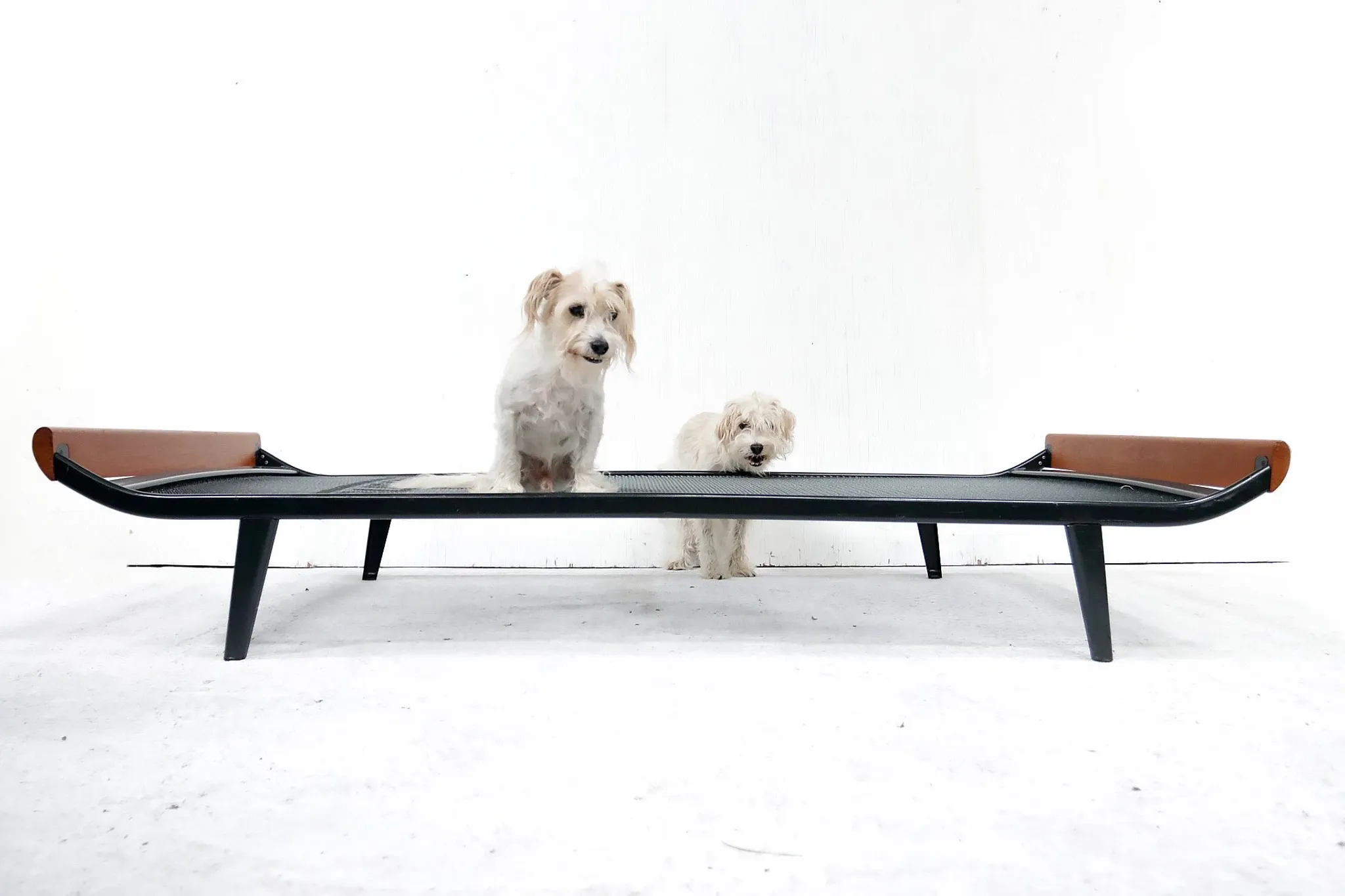 Mid-century modern Cleopatra daybed by Dick Cordemeijer, 1953
