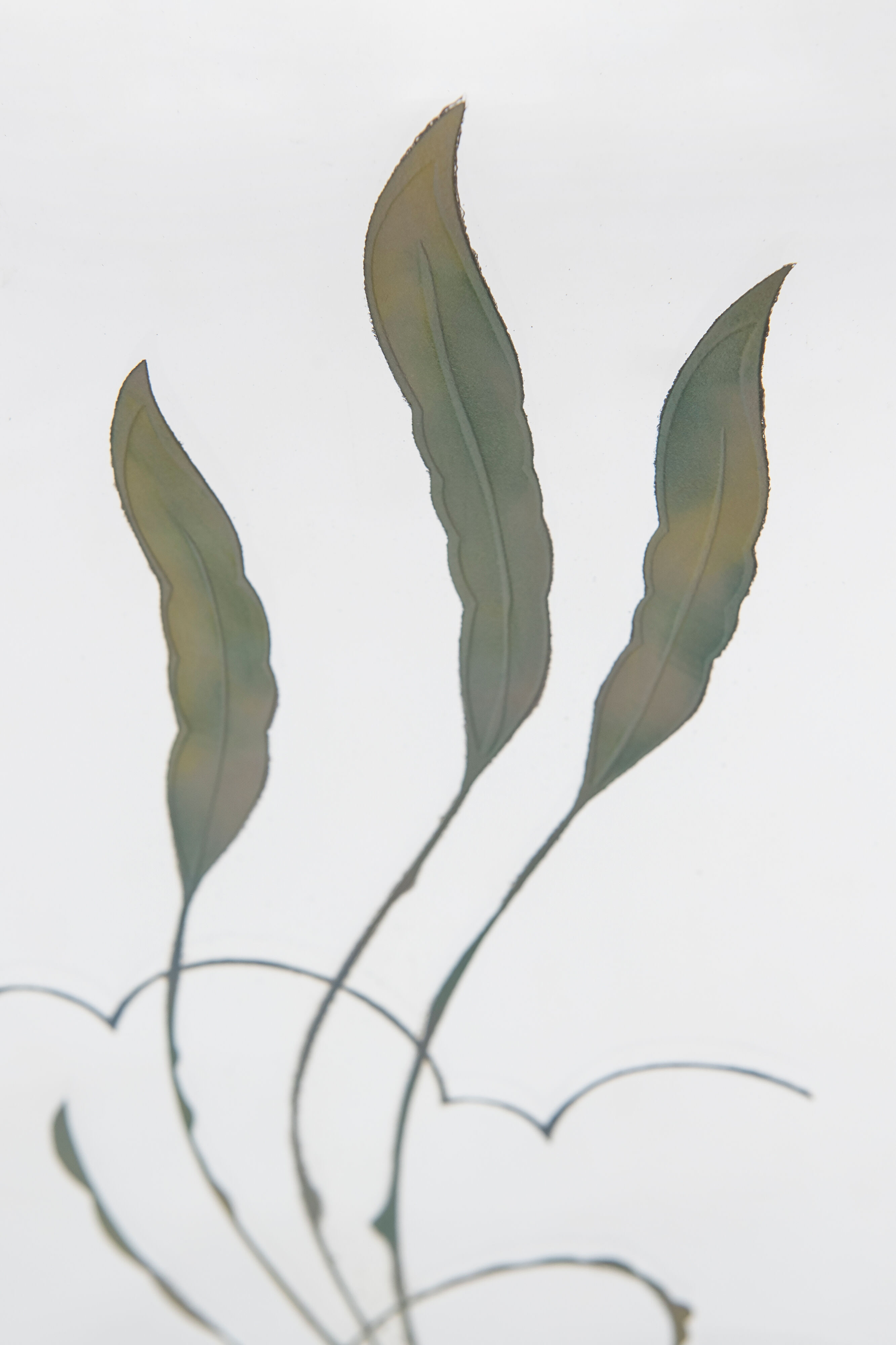 Art-deco bar furniture in macassar and acid-engraved mirror