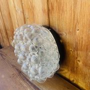 Vintage 1960s bubble glass ceiling light.
