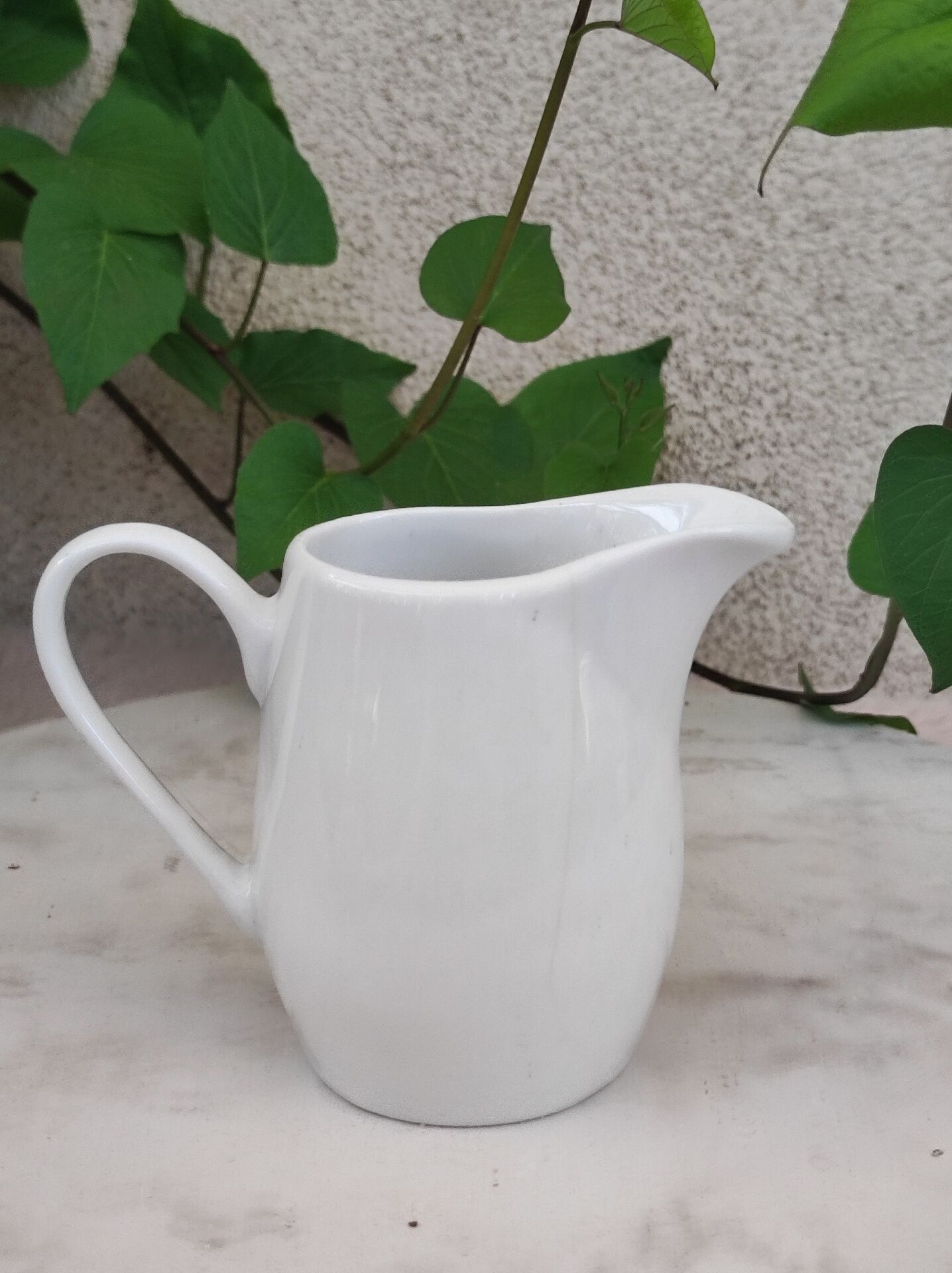 Small milk jug