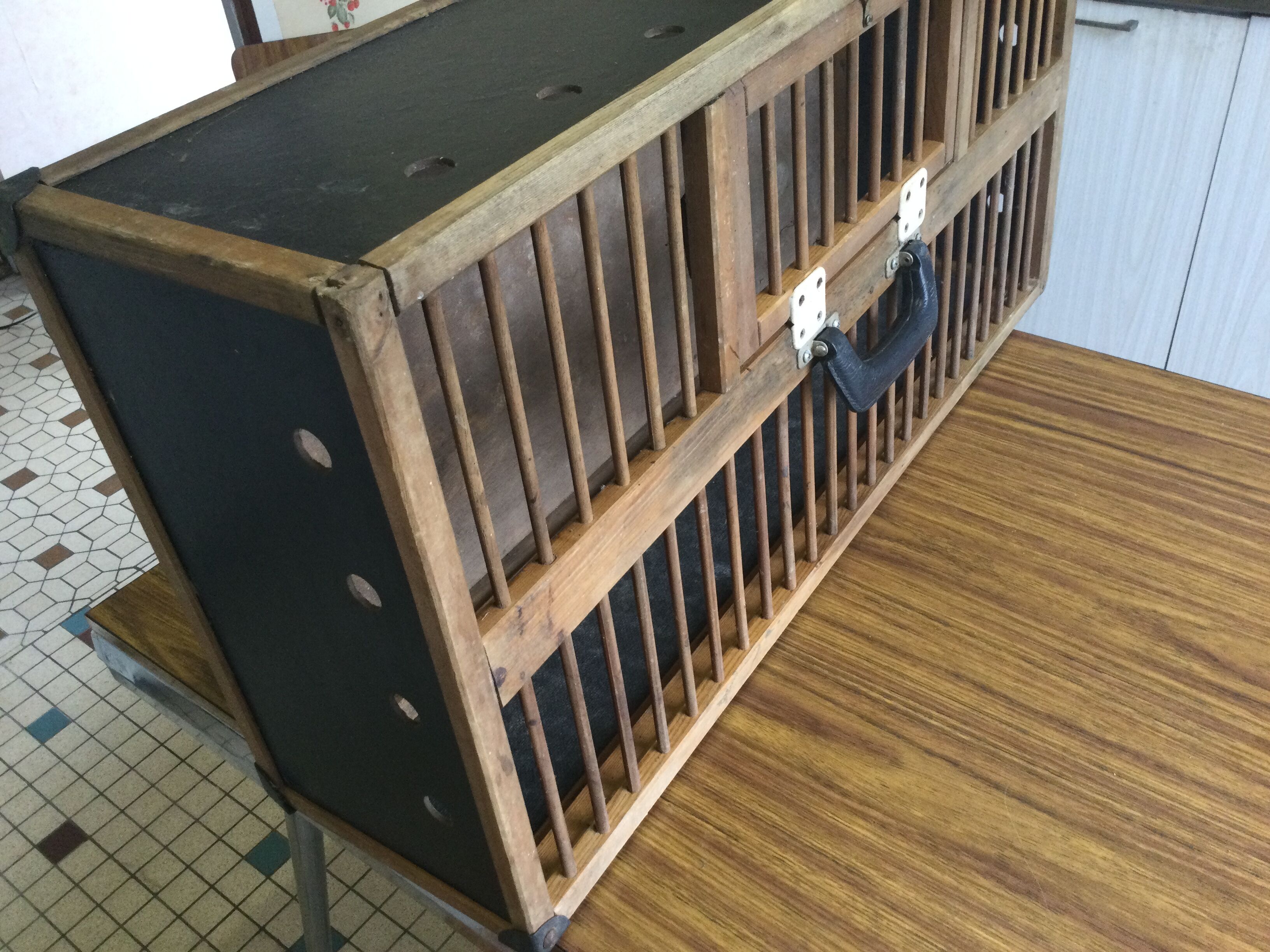 Birdcage