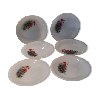 Vintage Arcopal dessert plates