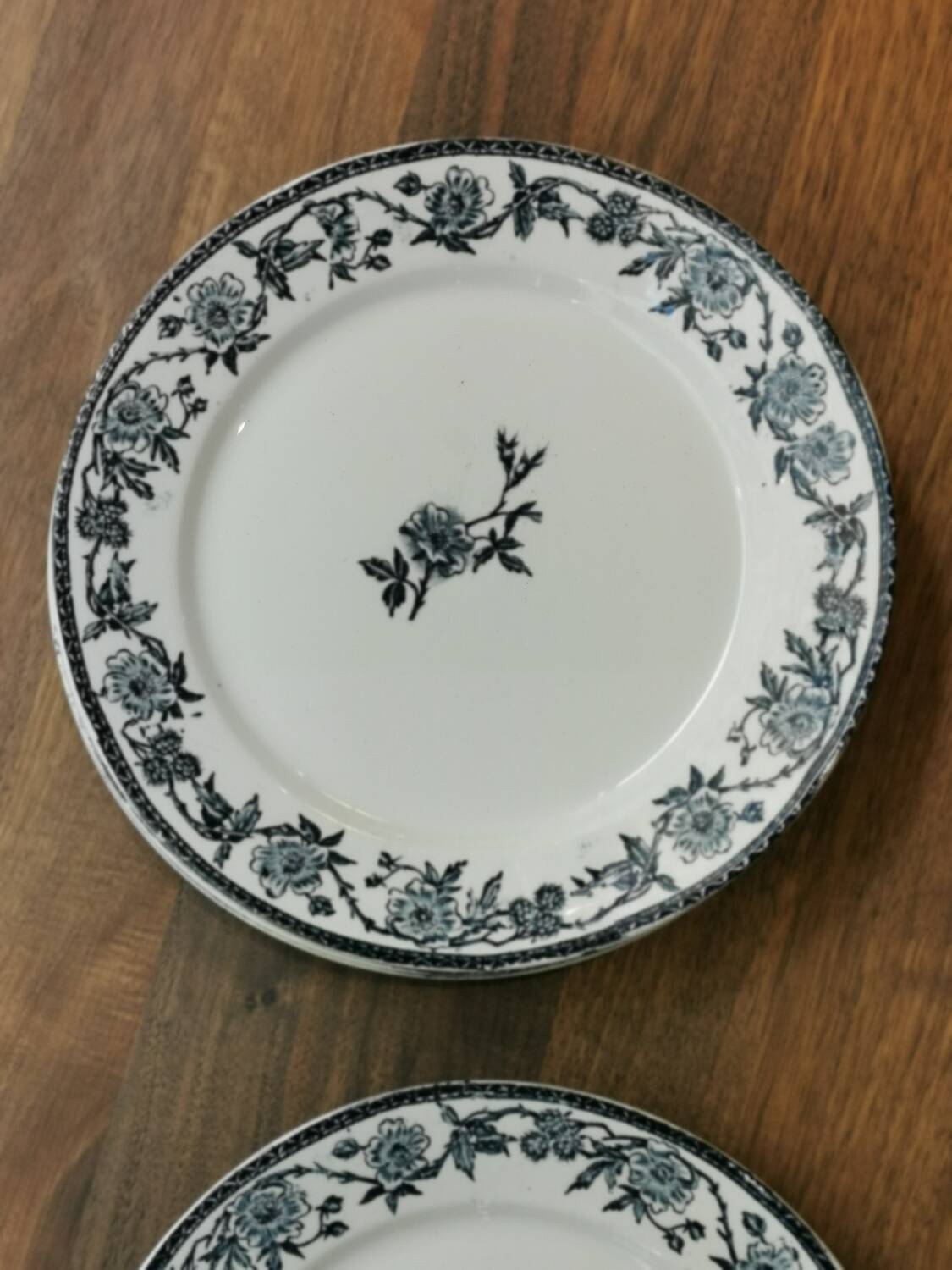 6 Pexonne "Paquerette" flat plates