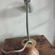 Duo de lampe armelec