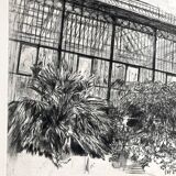 Nicole Bouharmont, Serres et jardin des plantes. pointe sèche signée au crayon