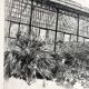 Nicole BOUHARMONT, Greenhouses and Botanical Gardens. Drypoint signed in chalk