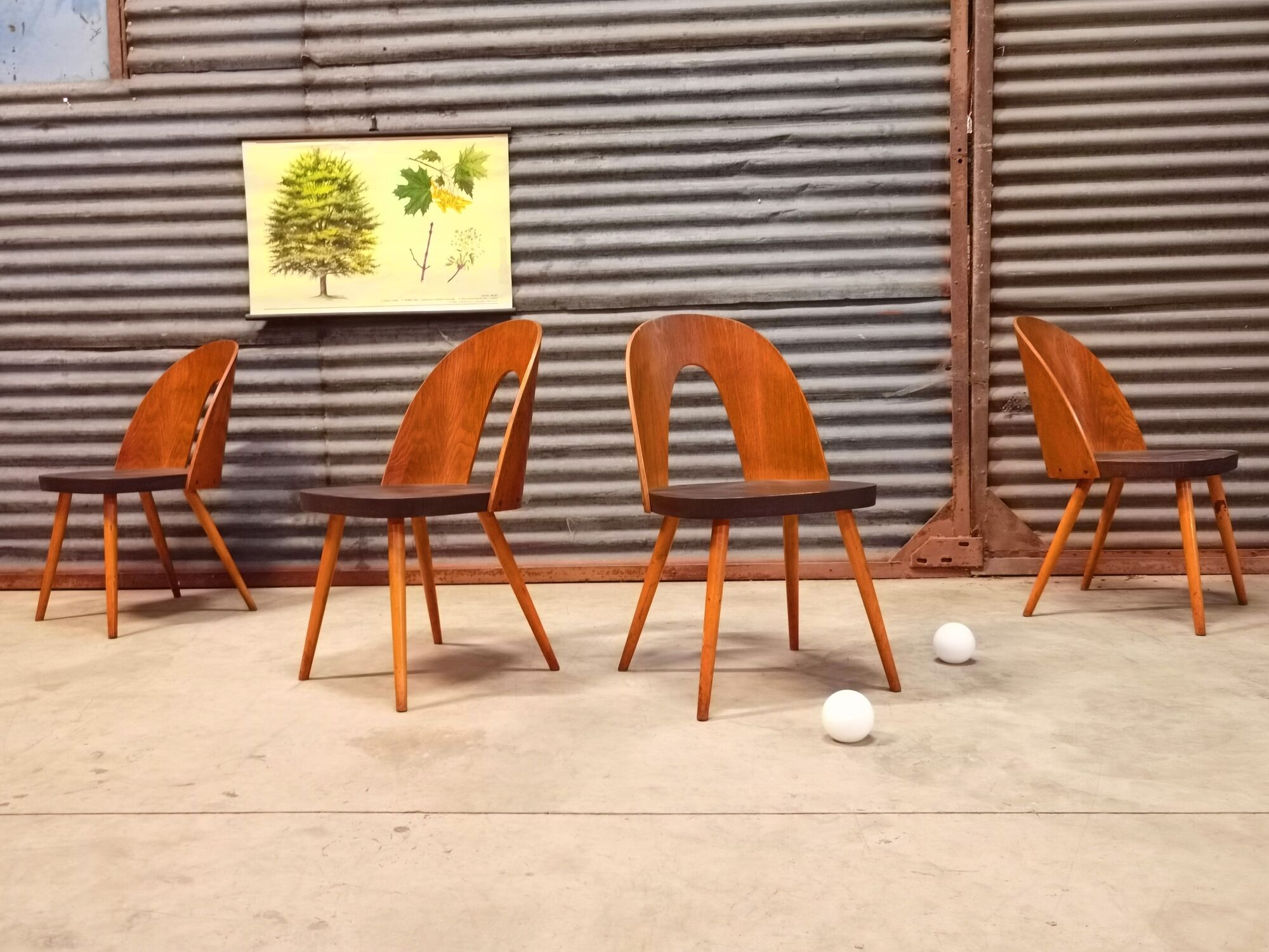 Set of 4 Antonin Suman chairs for Tatra Nabytok 1960