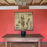 Affiche vintage du début du 20e siècle Paul Pfurtscheller zoologiques "poissons" 1902