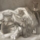 Nature morte, Thomas Papadoperakis
