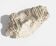 Sculptural White Coral Fossil, Organic Modern Decor from South Asia
