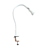 Lid Examination Lamp