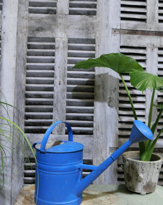 Blue zinc watering can