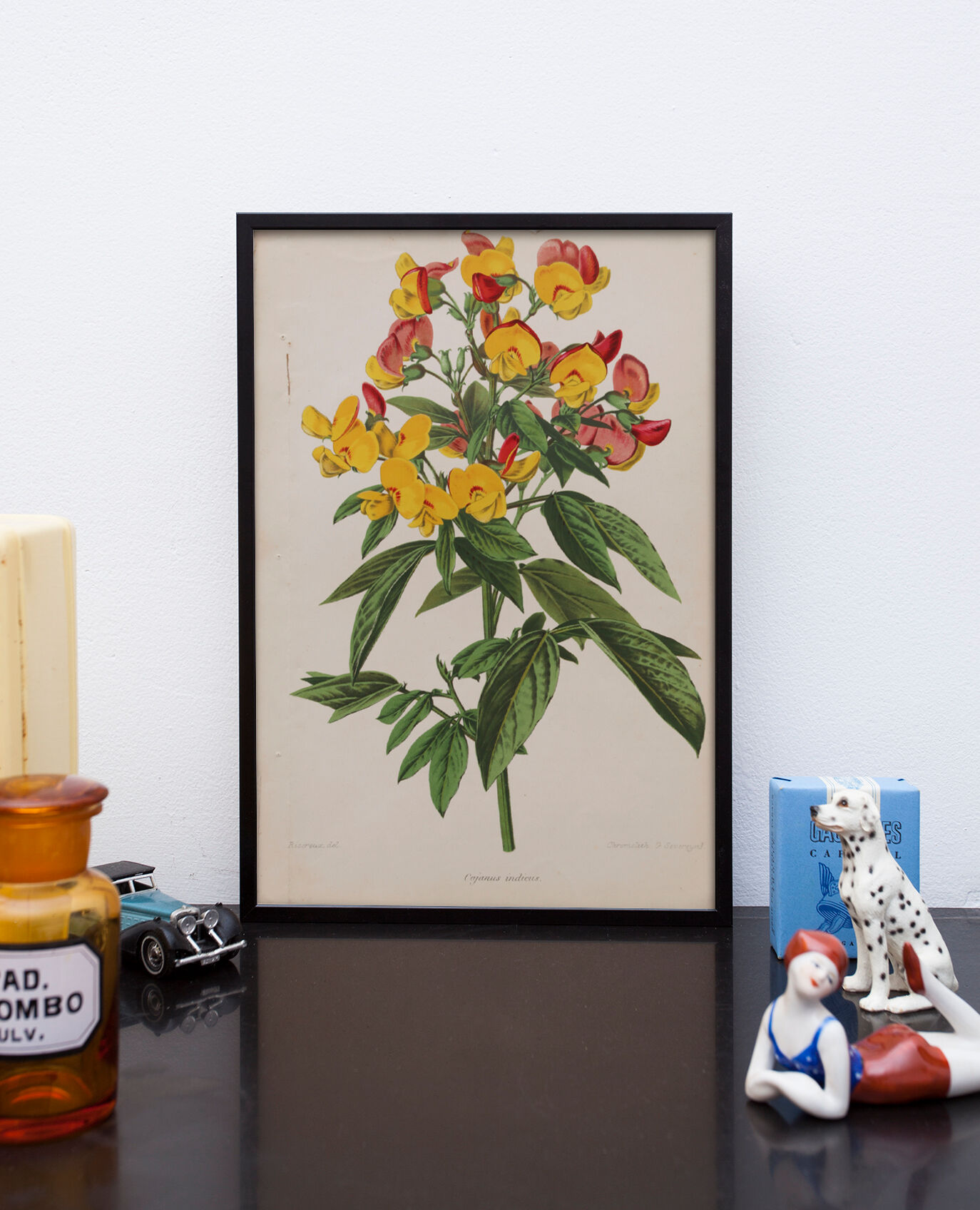 Lithography engraving plank vintage flowers - 1850