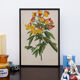 Lithographie gravure planche fleurs vintage - 1850