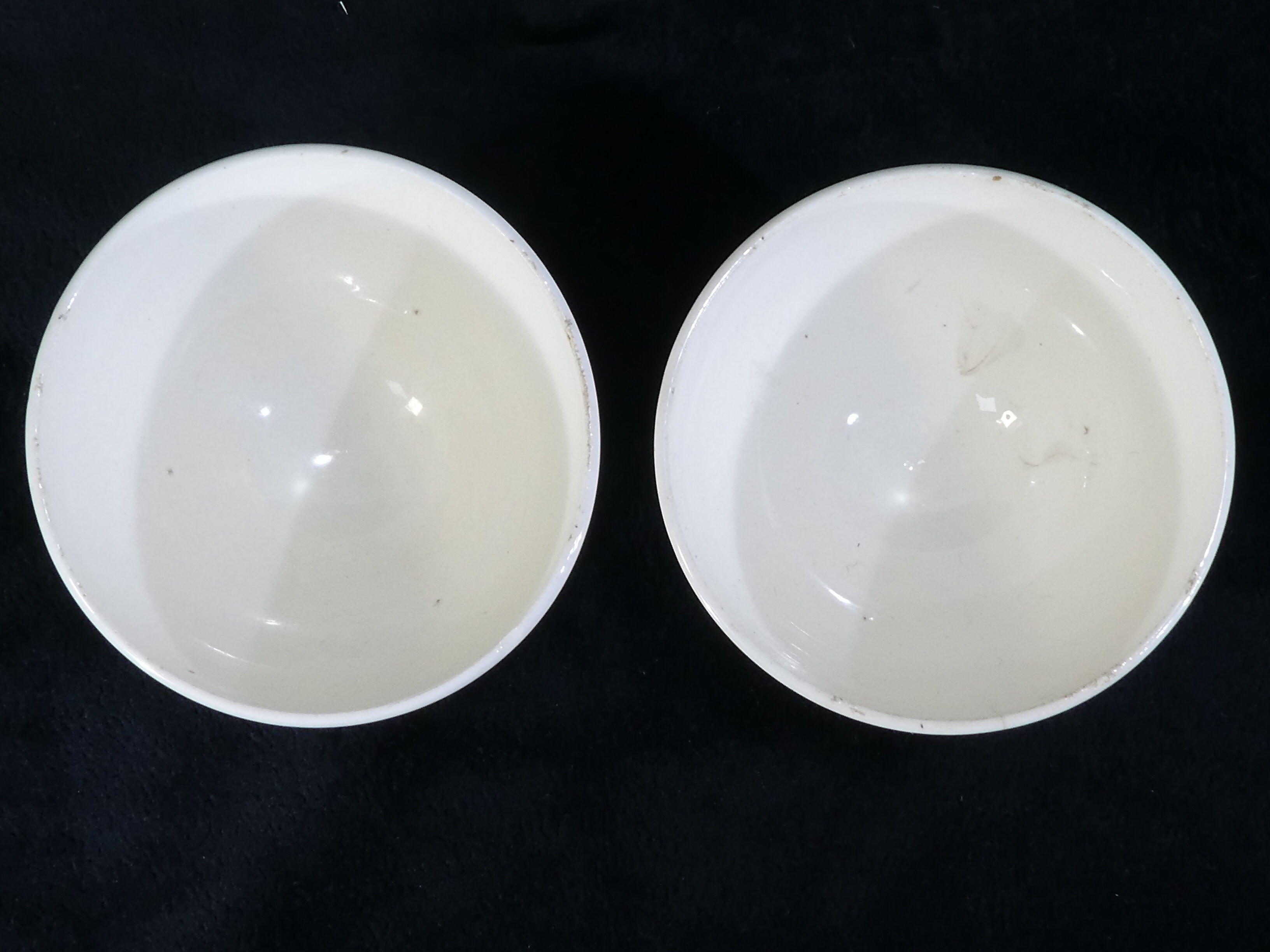 Pair of bowls in earthenware of Badonviller