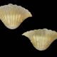 Pair of Murano glass wall lights