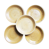 5 stoneware plates