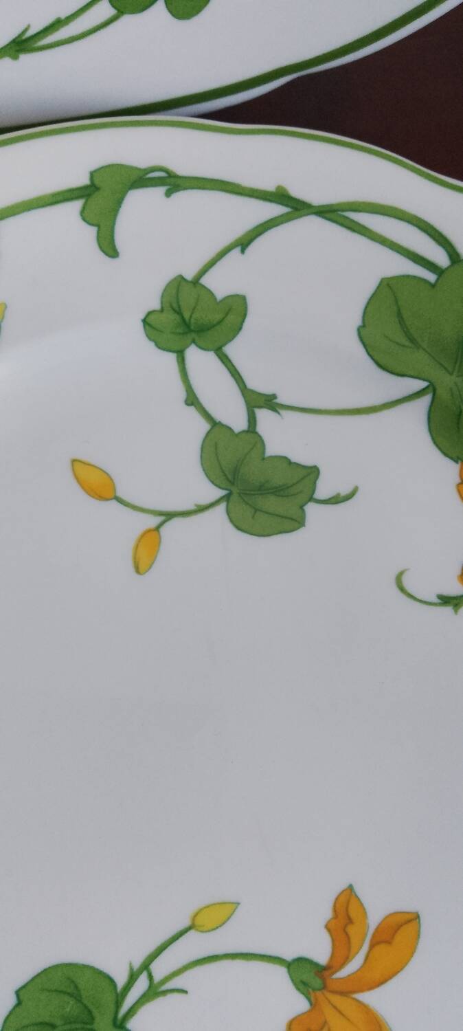 Villeroy & Boch plate set