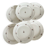 Set of 12 mdl plates - beauce model