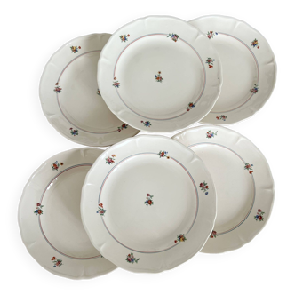 Set of 12 mdl plates - beauce model
