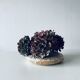 Grand vase plat forme lentille