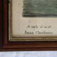2 plates of ornithological bird engravings