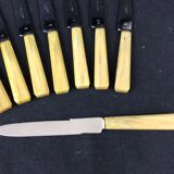11 horn handle cheese knives