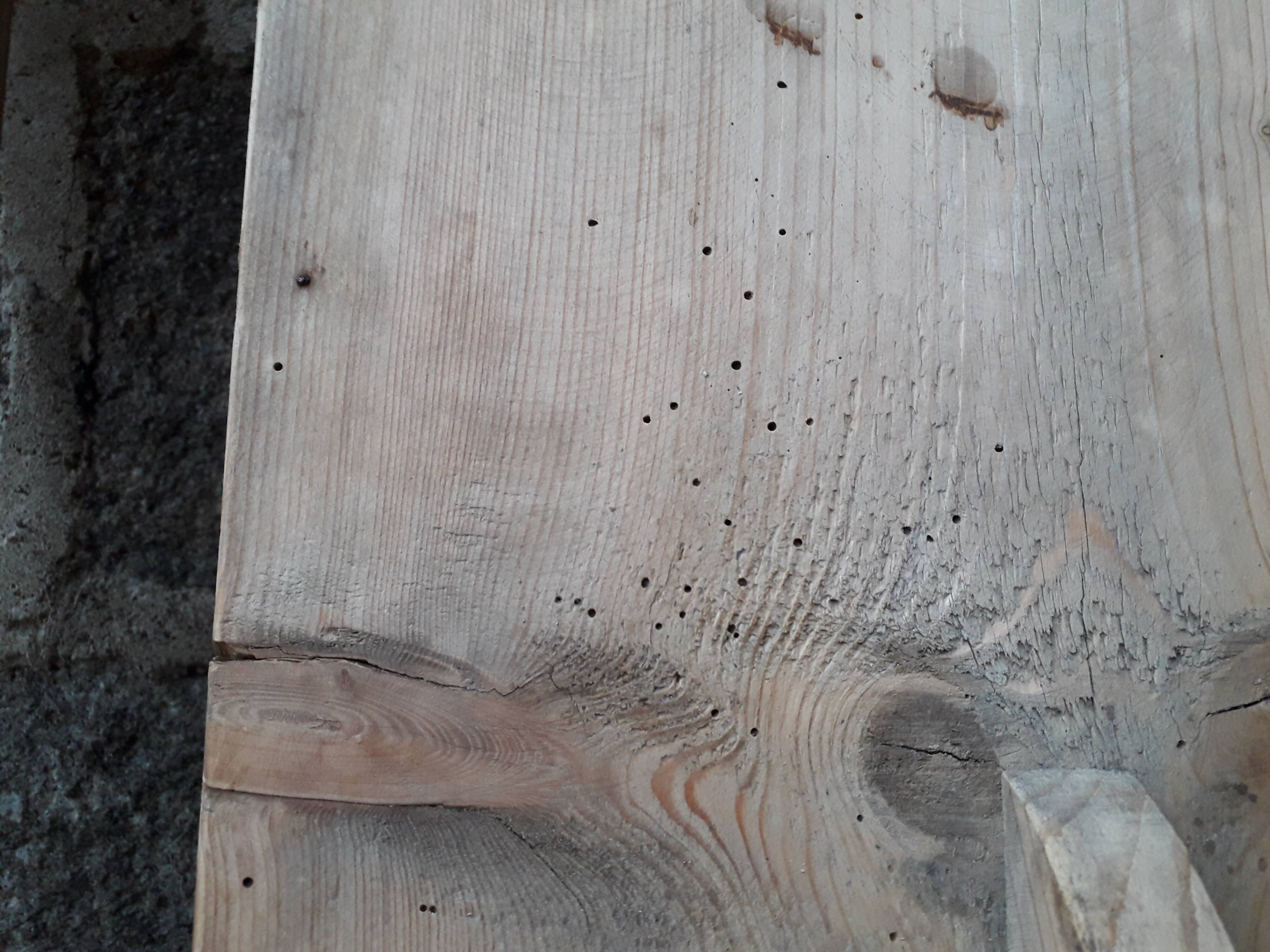 Pair of rustic benches 265 cm