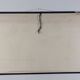 Vintage educational wall hanging roll chart biology oak