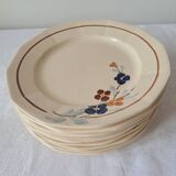 Set of 11 plates model 5041 Digoin Sarreguemines. Vintage ironstone