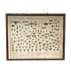 Bouasse-Lebel educational board at the end of the 19th Natural History Insects