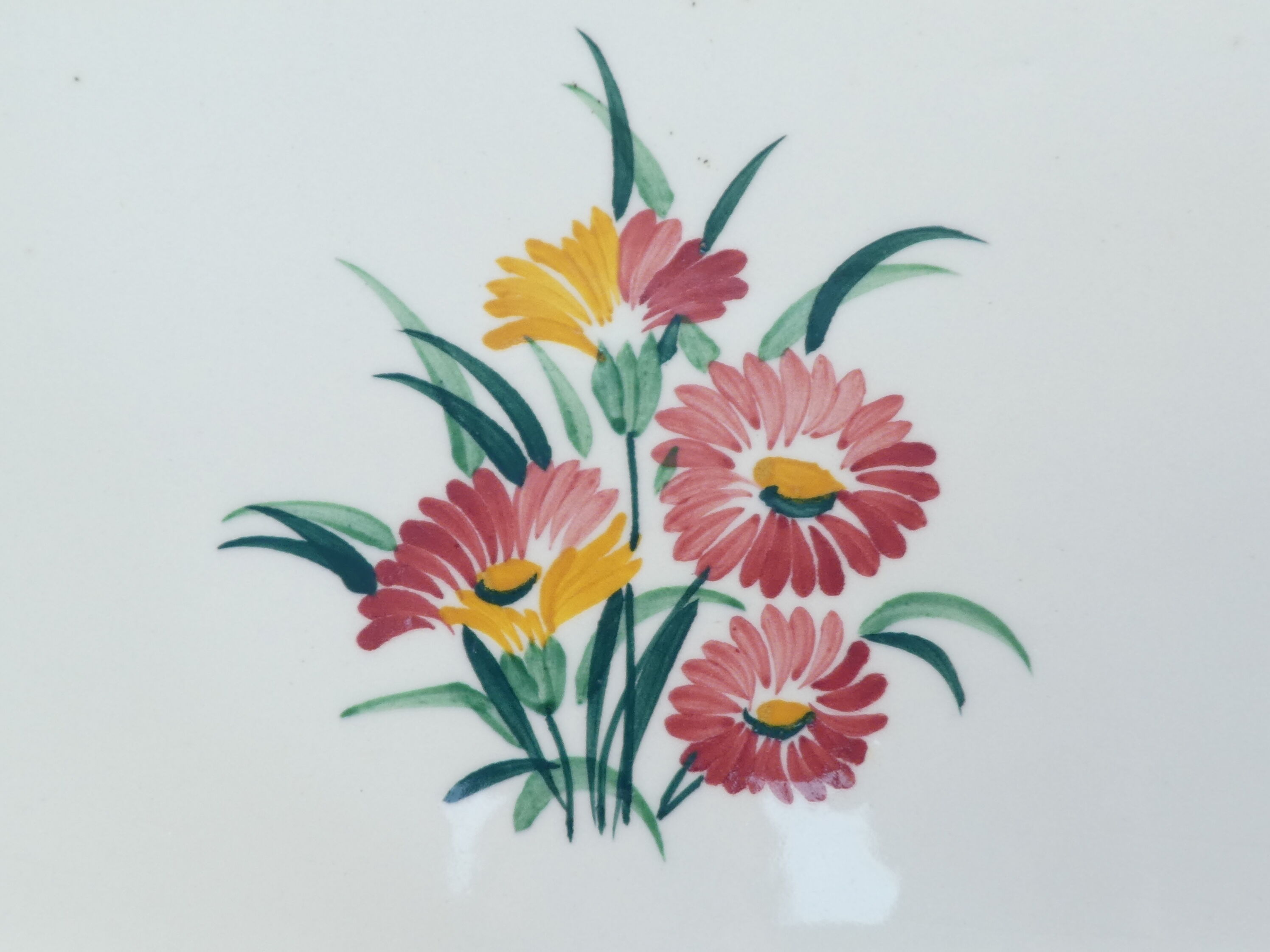 Cake service in faiences by Gien model butterfly