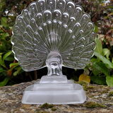 CRYSTAL PEACOCK CLIPBOARD