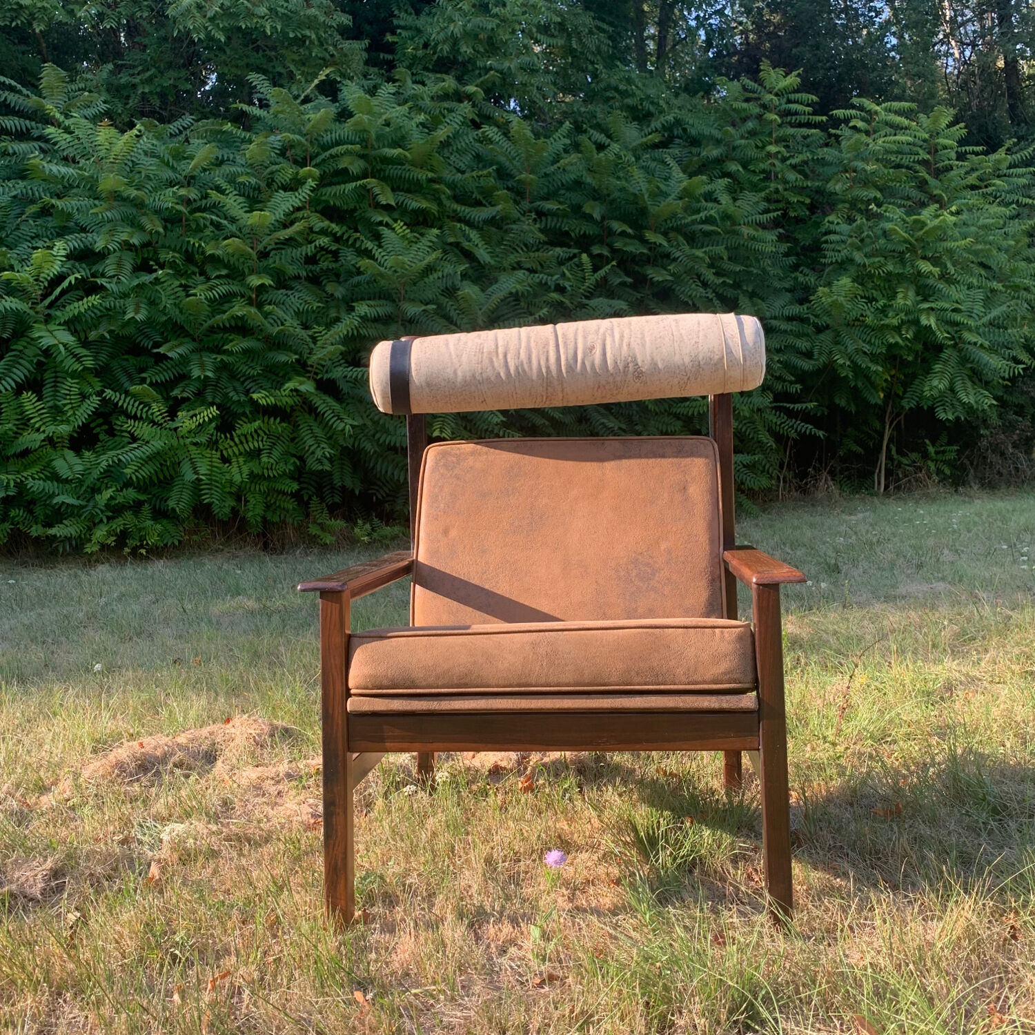 Brazilian rosewood armchair from the 60s, Tônico