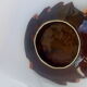 Red and brown Vallauris fish dish