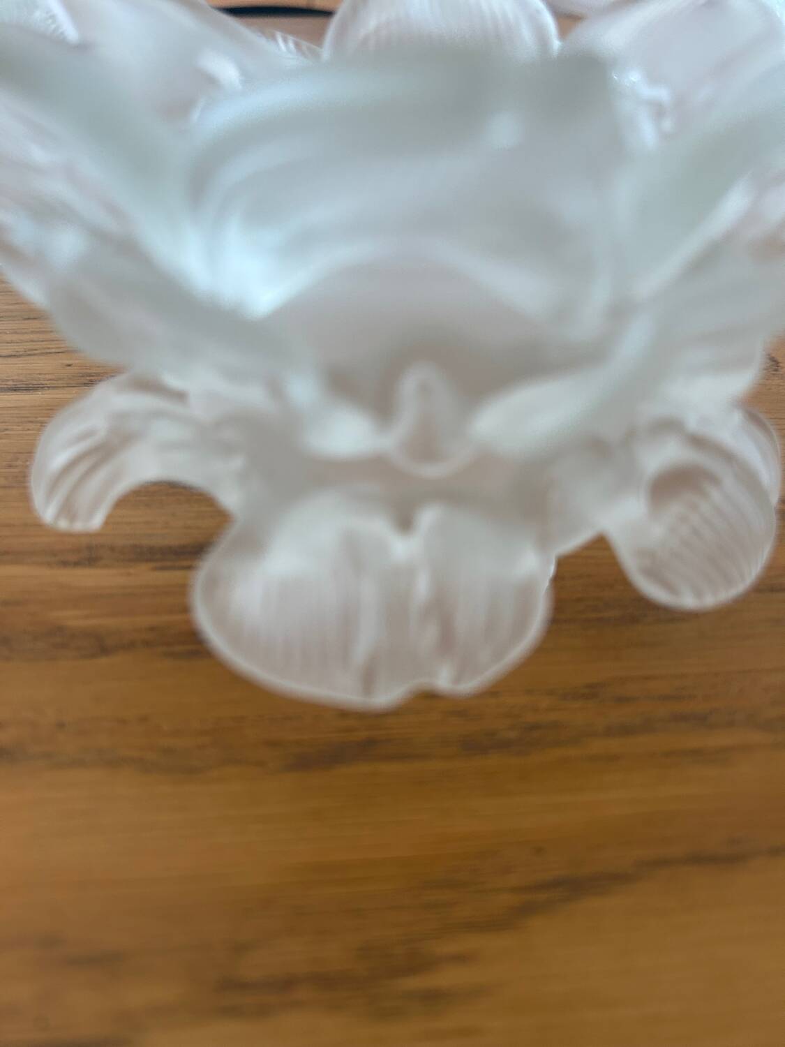 5 glass paste tulips