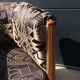 Cabriolet chair