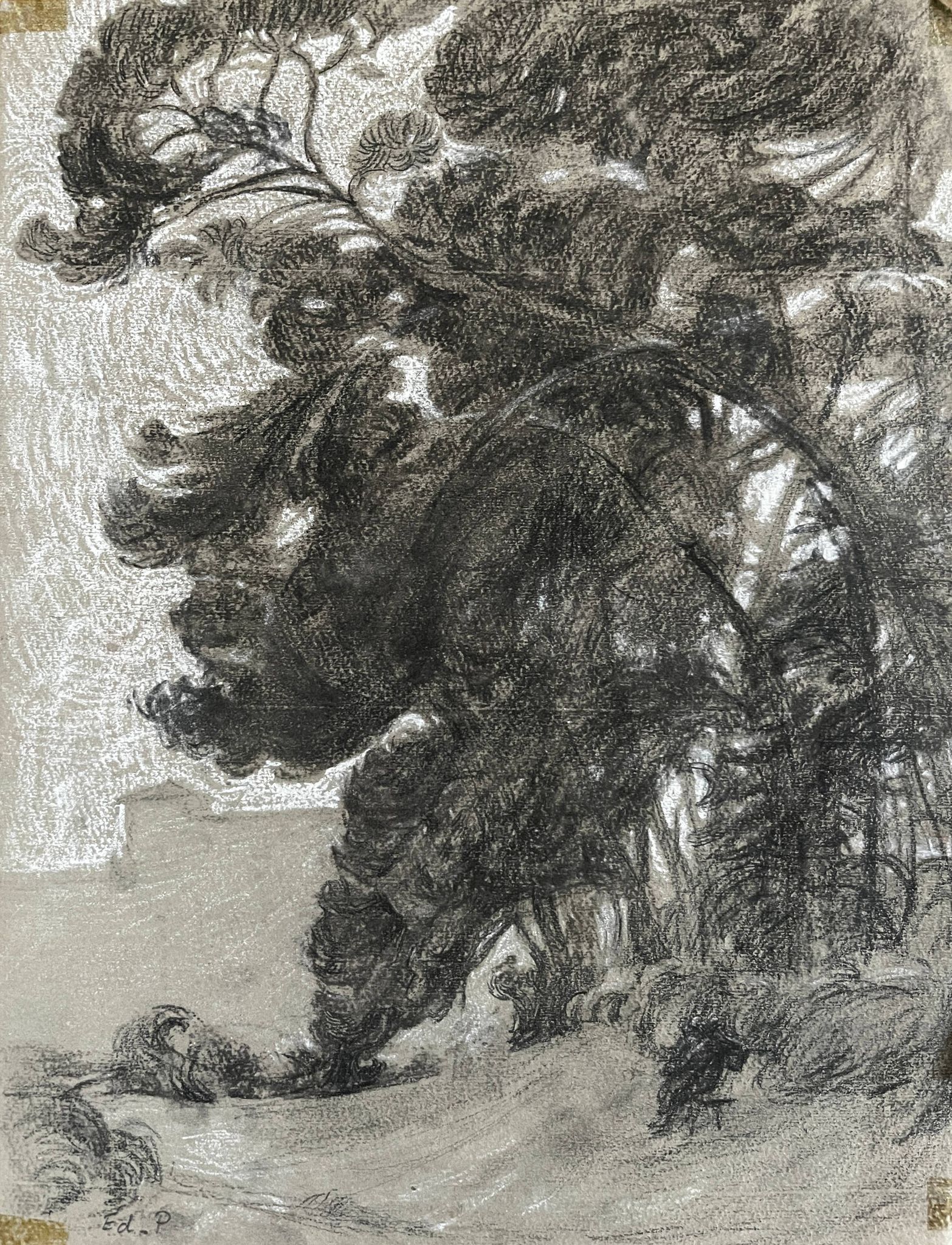 Paintings set of 8 drawings by Ed. Pannetier (1884-1965) Trees and landscapes