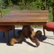 Square table in solid walnut
