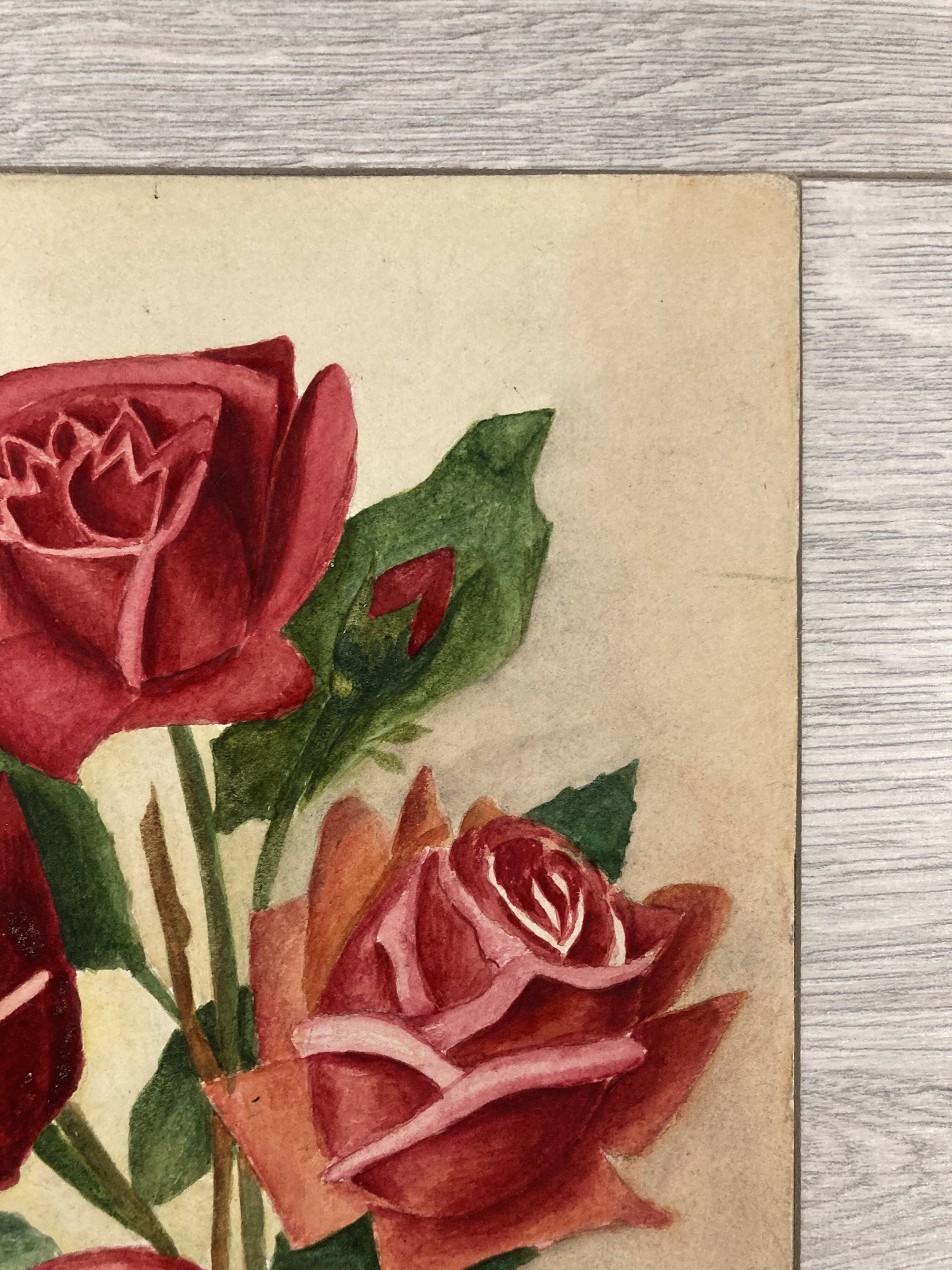 Old rose watercolor
