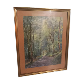 Old painting-forest landscape