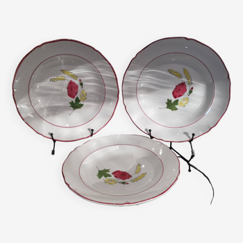 3 soup plates in Ceranord earthenware model Nicole