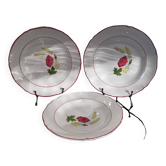 3 assiettes creuses en faïence Ceranord modèle Nicole