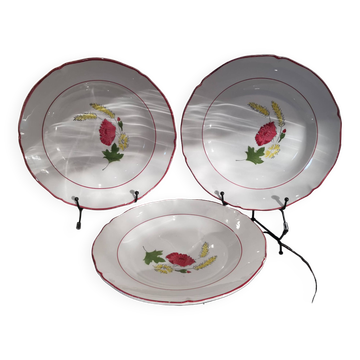 3 soup plates in Ceranord earthenware model Nicole