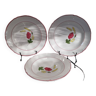 3 soup plates in Ceranord earthenware model Nicole