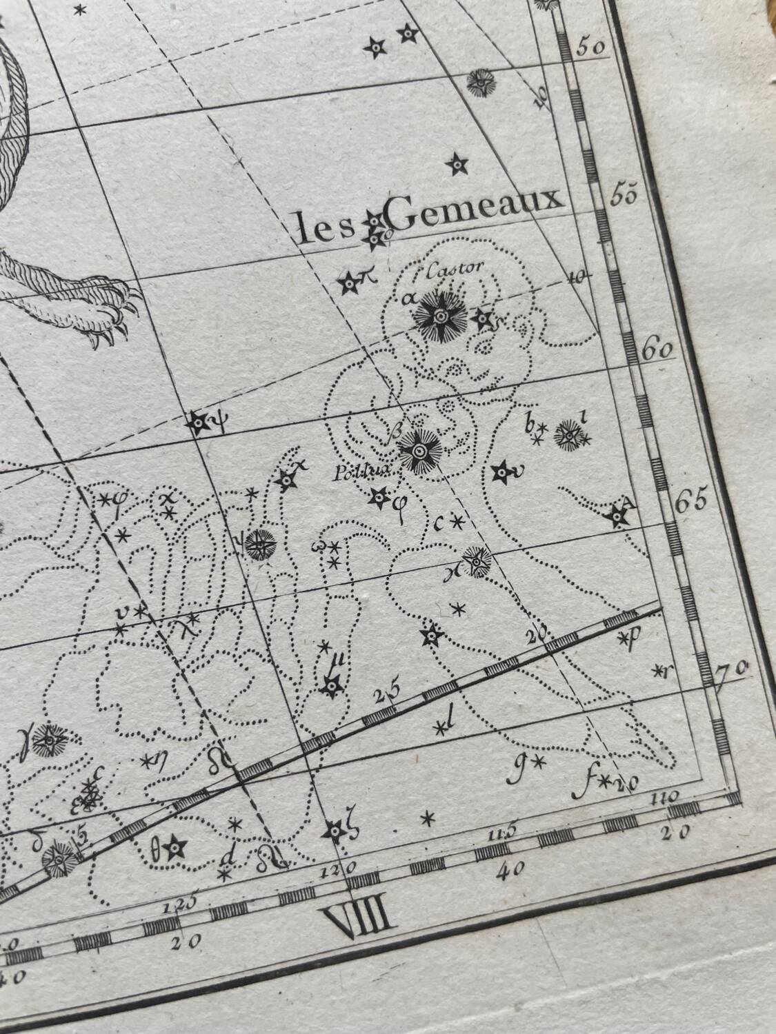 The Lynx and the Little Lyon - Astrology plate 1795