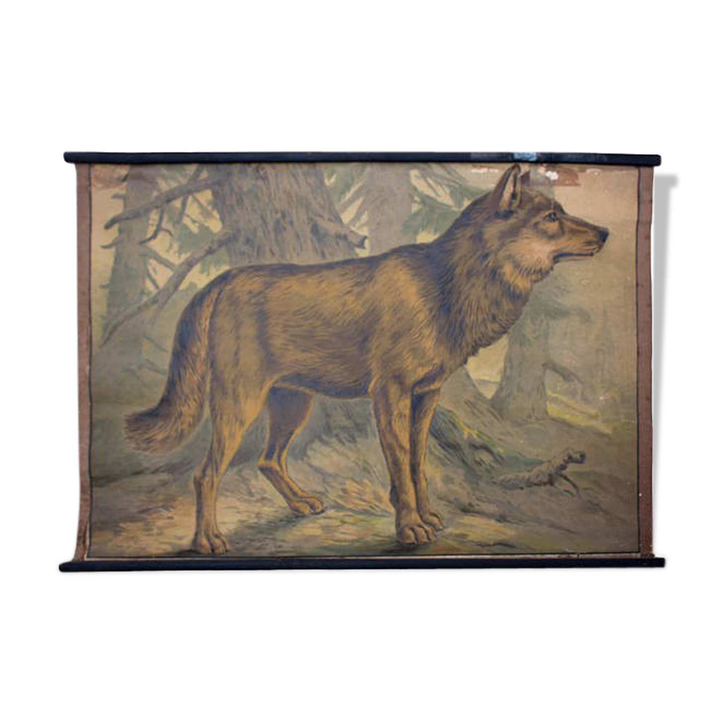 Poster "wolf" lithograph Karl Jansky Böhmen 1897