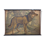 Affiche "wolf" lithographie Karl Jansky Böhmen 1897