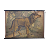 Affiche "wolf" lithographie Karl Jansky Böhmen 1897