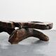 Table basse brutaliste en loupe d'orme, circa 1960